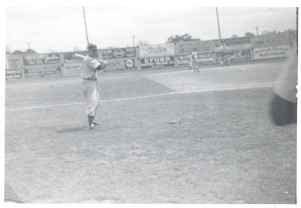 1952 NY Giants Spring Training Photo